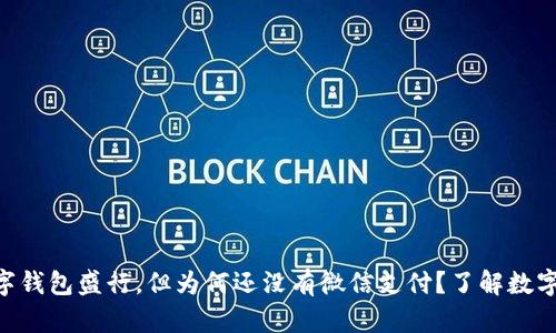 : 2025必看!数字钱包盛行,但为何还没有微信支付?了解数字支付的未来趋势