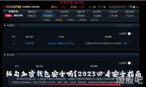 缅甸加密钱包安全吗?2025必看安全指南