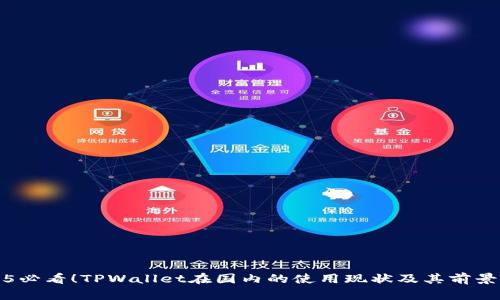 2025必看!TPWallet在国内的使用现状及其前景分析