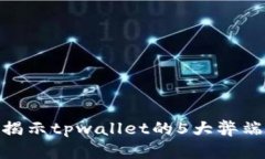 2025必看：揭示tpwallet的5大弊端与解决