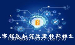 2025必看：苏州数字钱包如何改变特斯