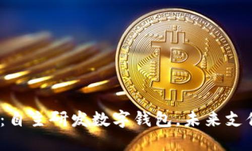 2025必看：自主研发数字钱包，未来支付的新选择