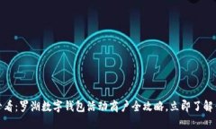 : 2025必看：罗湖数字钱包活动商户全攻