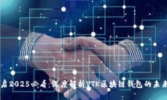 立即开启2025必看：深度解析VTK区块链