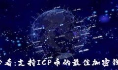   2025必看：支持ICP币的最佳加密钱包推