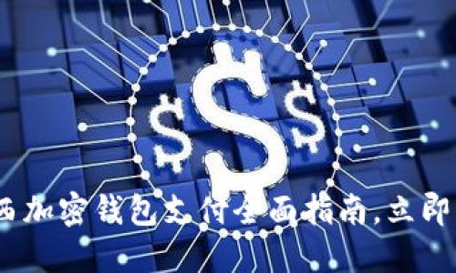 2025必看:巴西加密钱包支付全面指南,立即了解最新趋势!