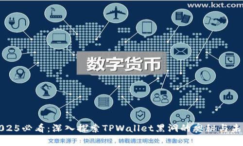 2025必看：深入探索TPWallet黑洞的奥秘与未来