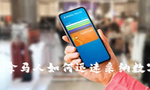 2025必看:巴拿马人如何迅速采纳数字钱包的趋势