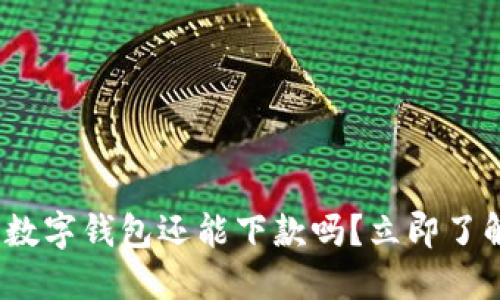 2025必看：数字钱包还能下款吗？立即了解未来趋势！