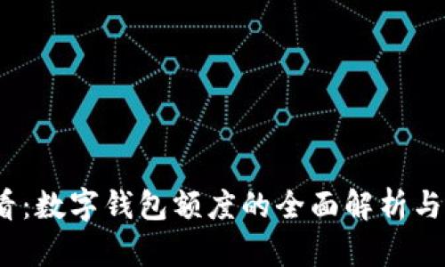 2025必看:数字钱包额度的全面解析与管理技巧