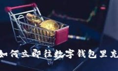 2025必看：如何立即往数字钱包里充值