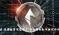 : 2025必看：成都数字钱包商户，全面解