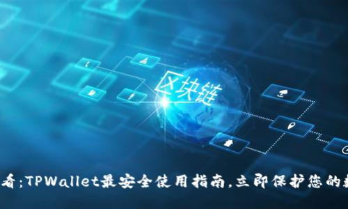 2025必看：TPWallet最安全使用指南，立即保护您的数字资产