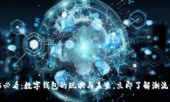 2025必看：数字钱包的现状与未来，立