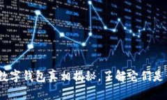 2025必看：数字钱包真相揭秘，了解它