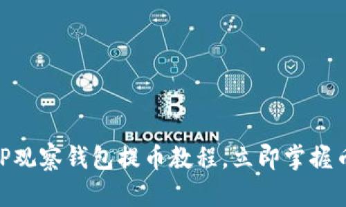 2025必看！TP观察钱包提币教程，立即掌握币圈操作技巧