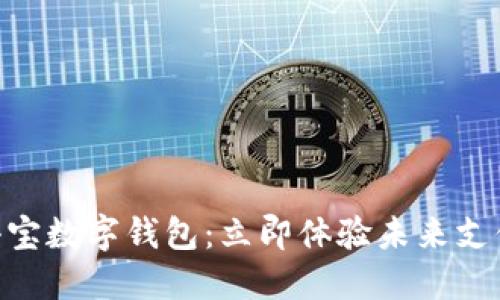 2025必看！麦小宝数字钱包：立即体验未来支付的便捷与安全