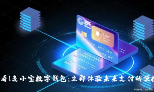 2025必看！麦小宝数字钱包：立即体验未来支付的便捷与安全