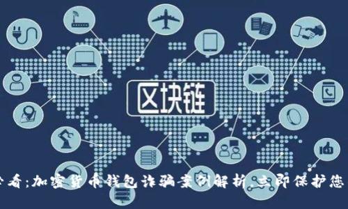 2025必看:加密货币钱包诈骗案例解析,立即保护您的资产!