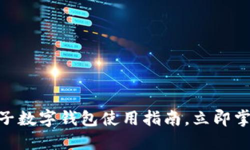 2025必看:个人电子数字钱包使用指南,立即掌握财务自由的诀窍