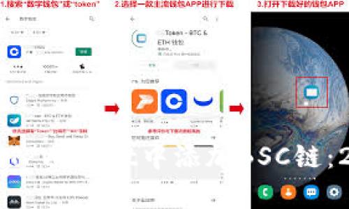 立即学习如何在TPWallet中添加BSC链：2025年必看指南