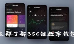 2025必看：立即了解BSC链数字钱包的全