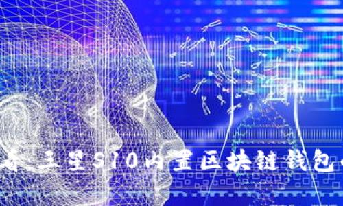 2023年必看：三星S10内置区块链钱包的全面解析