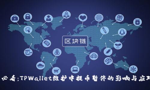 2025必看：TPWallet维护中提币暂停的影响与应对策略