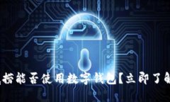 2025必看：海底捞能否使用数字钱包？