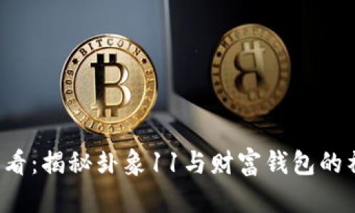 2025必看:揭秘卦象11与财富钱包的神秘联系