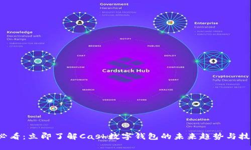 2025必看:立即了解Cash数字钱包的未来趋势与技术革新