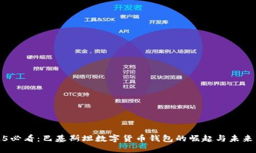 2025必看：巴基斯坦数字货币钱包的崛起与未来发展