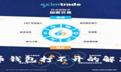 2025必看：数字币钱包打不开的解决方
