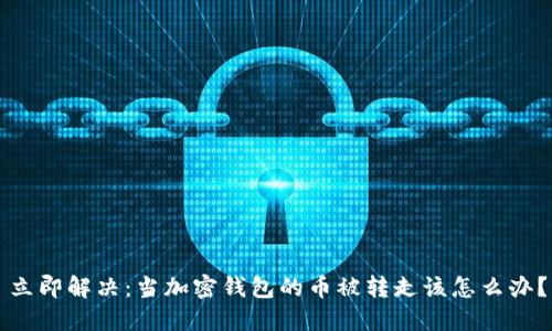 立即解决：当加密钱包的币被转走该怎么办？