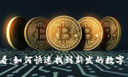 2025必看：如何快速找到新发的数字货币钱包