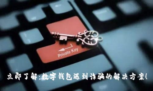 立即了解:数字钱包遇到诈骗的解决方案!