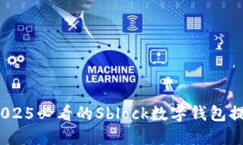 立即了解:2025必看的Sblock数字钱包提现排队攻略
