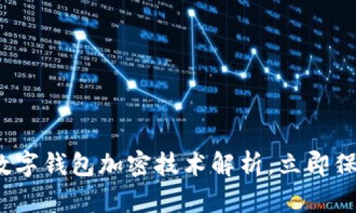 2025必看：数字钱包加密技术解析，立即保护你的资产!