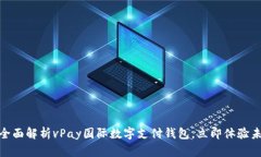 2025必看：全面解析vPay国际数字支付钱