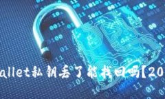 ### TPWallet私钥丢了能找回吗？2025必看