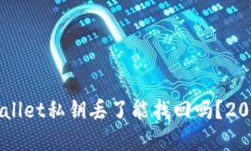 ### TPWallet私钥丢了能找回吗?2025必看解答