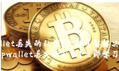 如何找回tpwallet丢失的私钥?立即了解解决方案!
如何快速找回tpwallet丢失的私钥?立即学习这些有效策略!