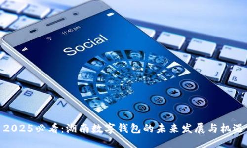 2025必看：湖南数字钱包的未来发展与机遇