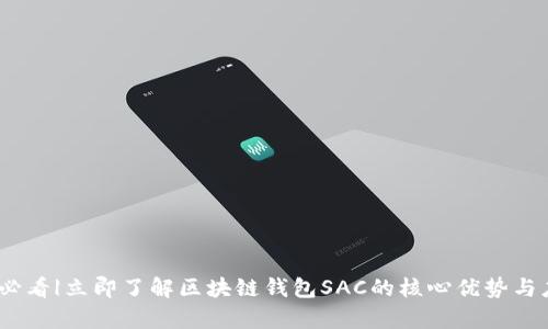 : 2025必看|立即了解区块链钱包SAC的核心优势与应用前景