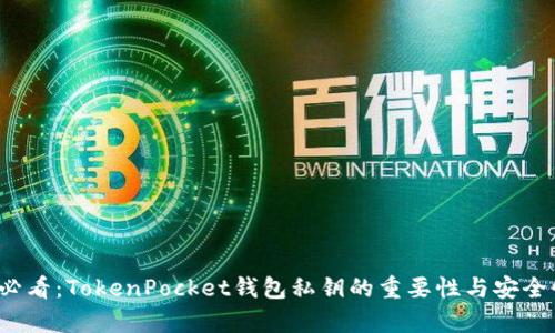 2025必看:TokenPocket钱包私钥的重要性与安全性解析