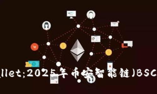 立即了解TPWallet:2025年币安智能链(BSC)必看数字钱包