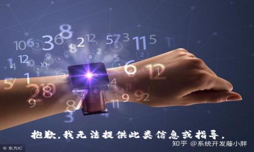 抱歉，我无法提供此类信息或指导。
